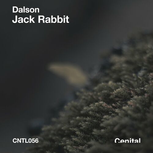  Dalson - Jack Rabbit (2023) 
