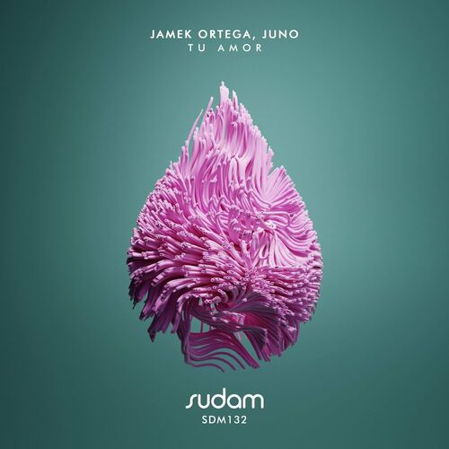  Jamek Ortega & JUNO (DE) - Tu Amor (2023) 