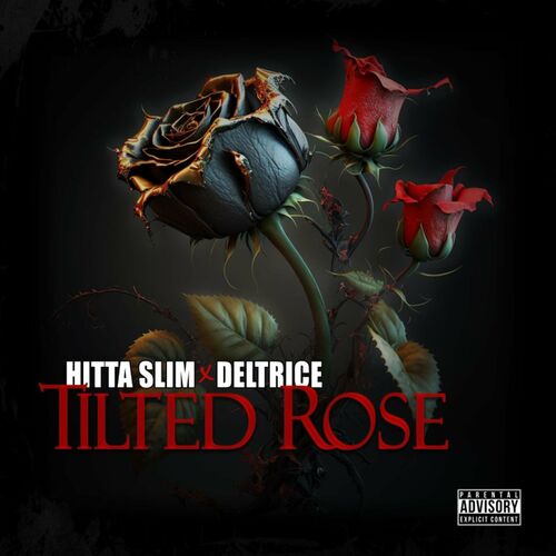  Hitta Slim & Deltrice - Tilted Rose (2023)  500x500-000000-80-0-0