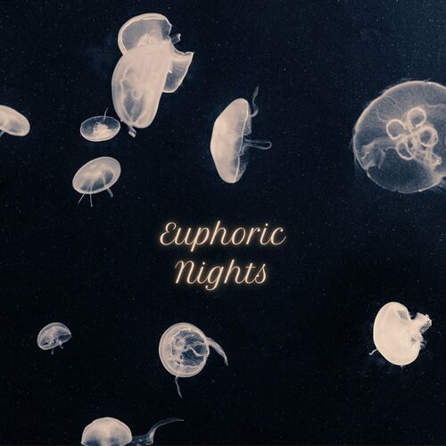  Various EDM - Euphoric Nights (2024) 