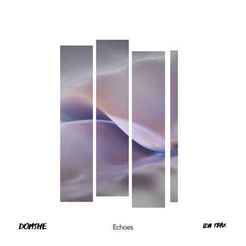  Domshe - Echoes (2023) 