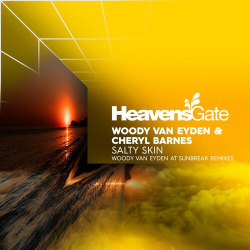  Woody Van Eyden & Cheryl Barnes - Salty Skin (Woody van Eyden at Sunbreak Remix) (2024) 