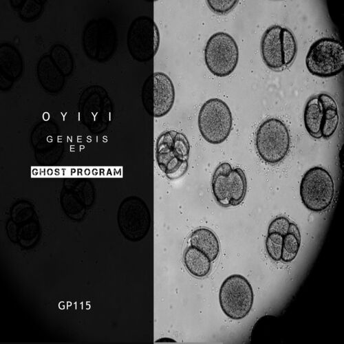  Oyiyi - Genesis (2023) 