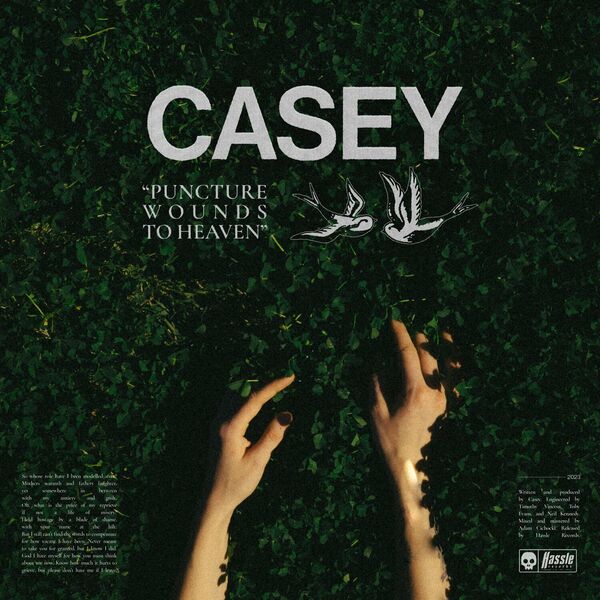 Casey - Puncture Wounds to Heaven [single] (2023)