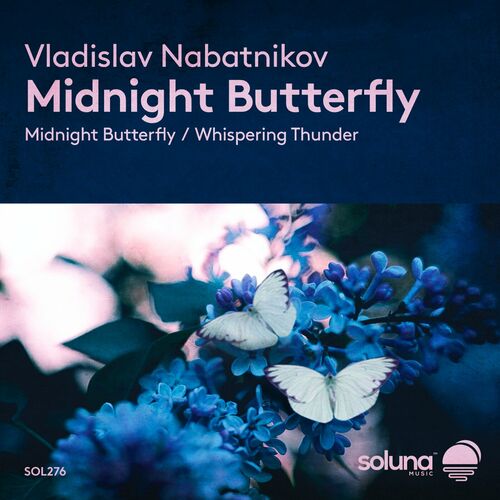 VA - Vladislav Nabatnikov - Midnight Butterfly (2023) (MP3)