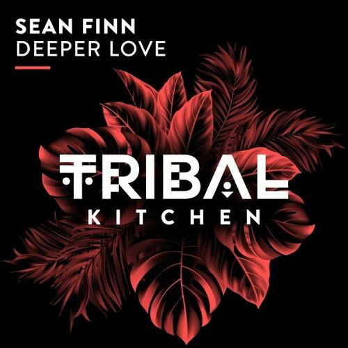  Sean Finn - Deeper Love (2023) 