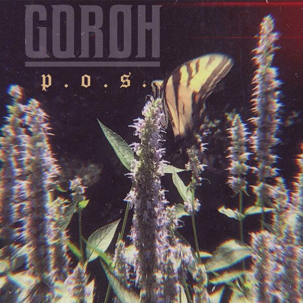 GOROH - P.O.S. [single] (2024)