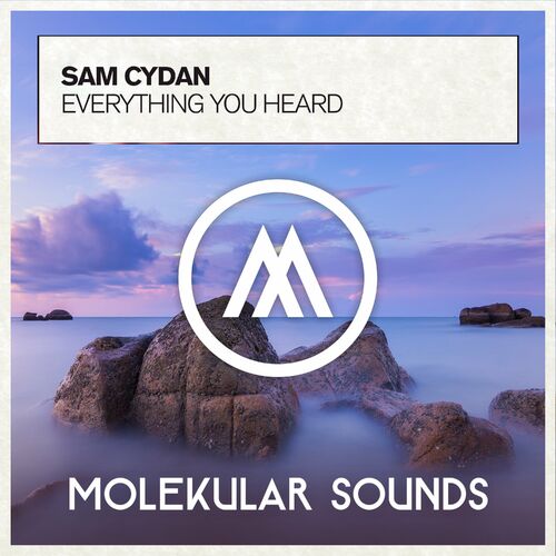  Sam Cydan - Everything You Heard (2023) 