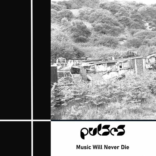  Pulses - Music Will Never Die (2023) 