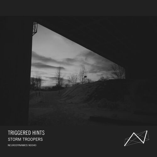  Triggered Hints - Storm Troopers (2023) 