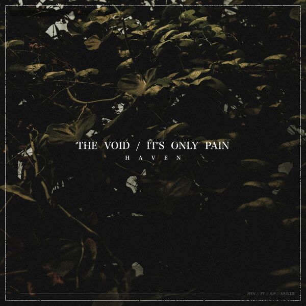 HVN - The Void / It's Only Pain [single] (2024)