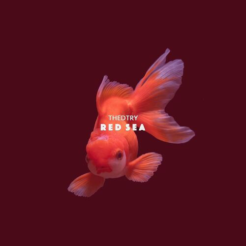  Thedtry - Red Sea (2023) 