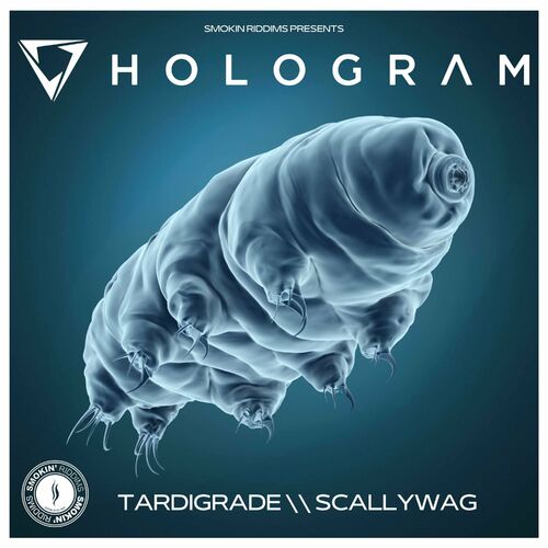 VA - Hologram - Tardigrade / Scallywag (2023) (MP3)