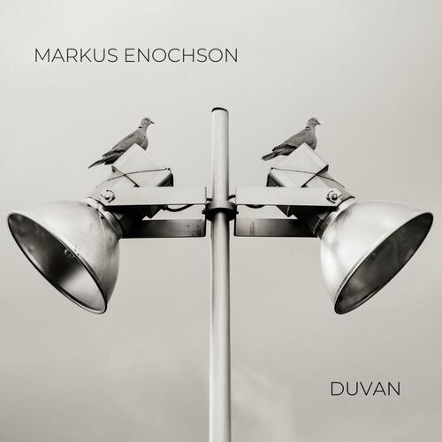  Markus Enochson - Duvan (2023) 