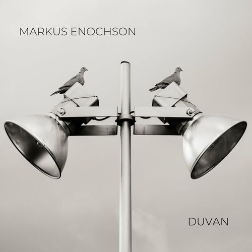 VA - Markus Enochson - Duvan (2023) (MP3)