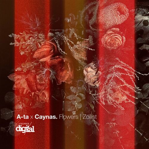  A-ta x Caynas - Flowers | Zoilist (2023) 