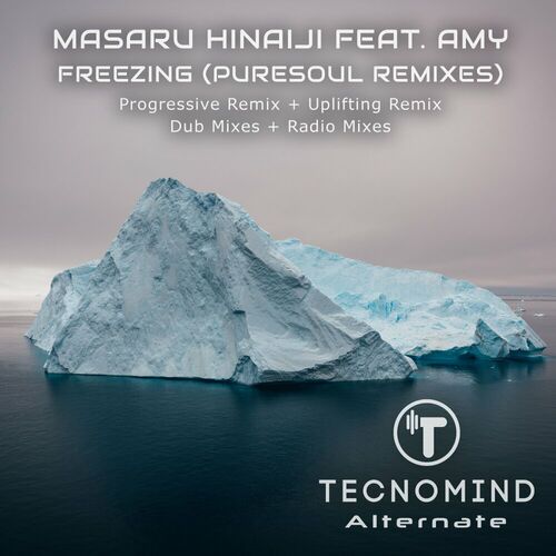  Masaru Hinaiji ft Amy - Freezing (Puresoul Remixes) (2024) 
