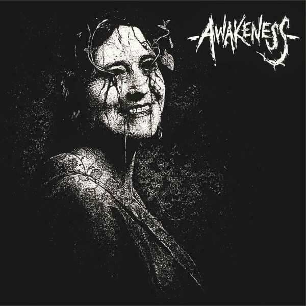 Awakeness - Valley To Nowhere [single] (2022)