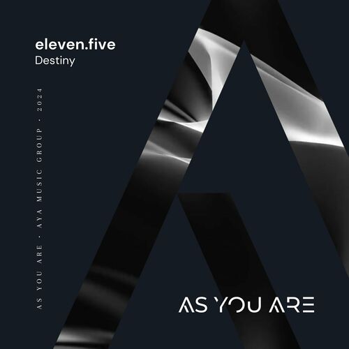 VA -  Eleven.Five - Destiny (2024) [MP3] 500x500-000000-80-0-0