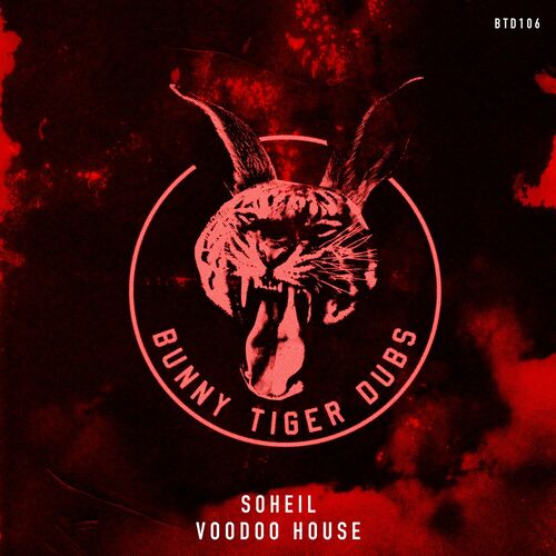  Soheil - Voodoo House (2024) 