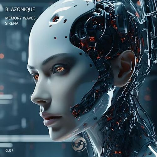 VA -  Blazonique - Memory Waves (2024) [MP3] 500x500-000000-80-0-0