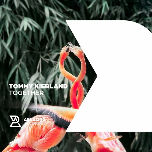 VA -  Tommy Kierland - Together (2024) [MP3] 500x500-000000-80-0-0