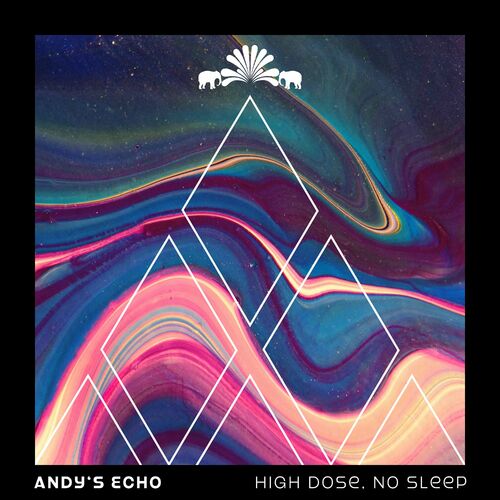  Andy's Echo - High Dose, No Sleep (2023) 