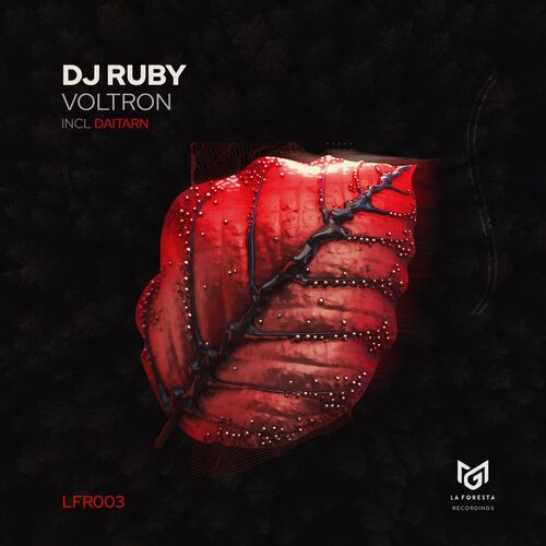  DJ Ruby - Voltron (2023) 