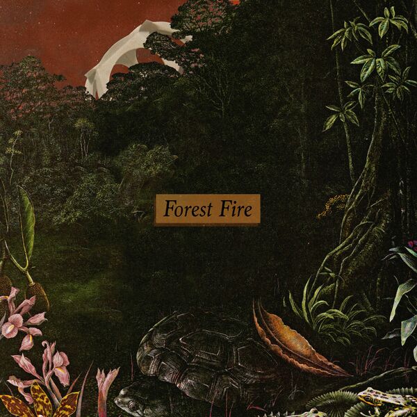 Delta Sleep - Forest Fire [single] (2021)