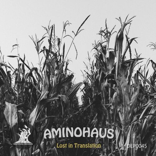  Aminohaus - Lost in Translation (2023) 