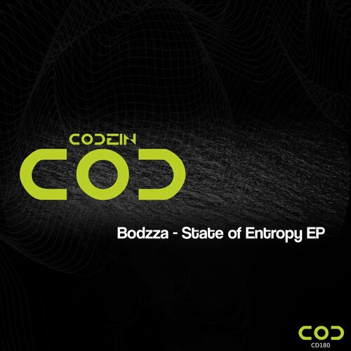  Bodzza - State of Entropy (2023) 