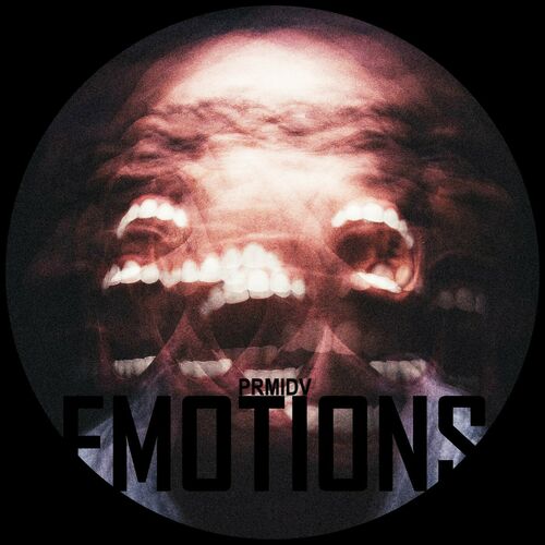 VA - PRMIDV - Emotions (2023) (MP3)