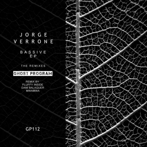  Jorge Verrone - Bassive The Remixes (2023) 