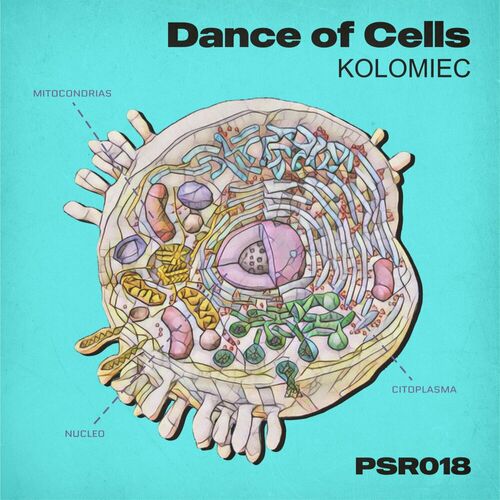  Kolomiec - Dance of Cells (2023) 