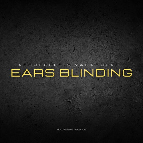 VA - Vakabular & Aerofeel5 - Ears Blinding (2023) (MP3)