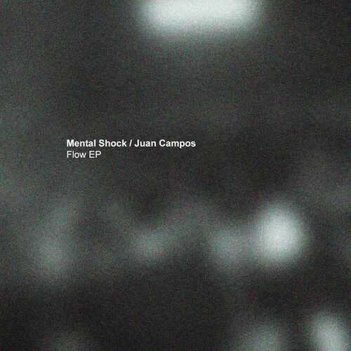  Mental Shock & Juan Campos - Flow (2023) 