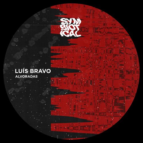 VA -  Luis Bravo - Alvoradas (2024) [MP3] 500x500-000000-80-0-0