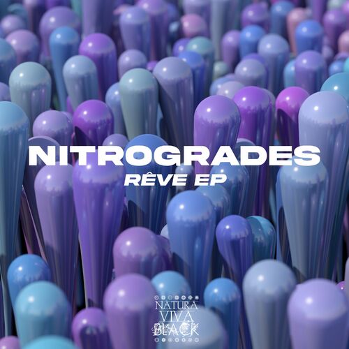  Nitrogrades - Reve Ep (2023) 