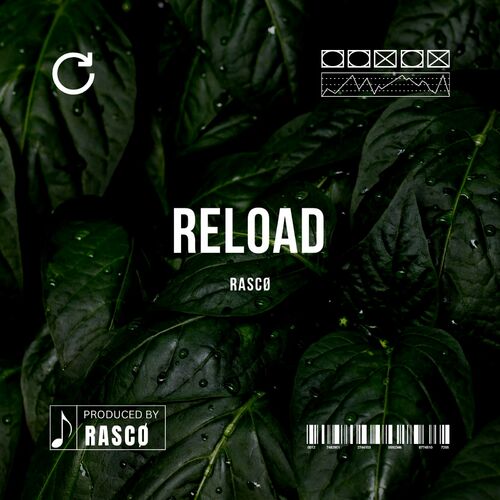 VA - RASCØ - Reload (2024) (MP3) 500x500-000000-80-0-0