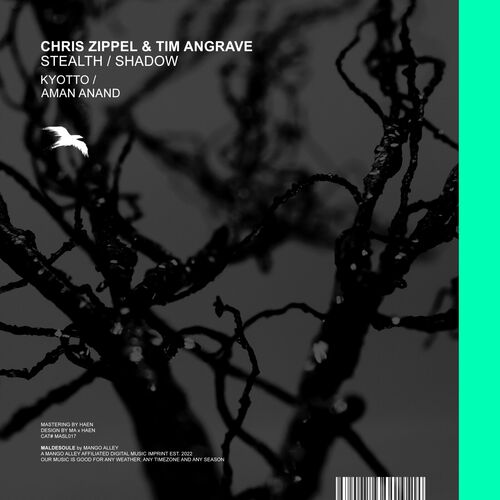  Chris Zippel & Tim Angrave - Stealth / Shadow (2023) 