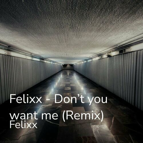  Felixx - Don't You Want Me (Remix) (2023) 