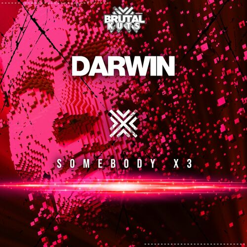  Darwin - Somebody X3 (2024) 