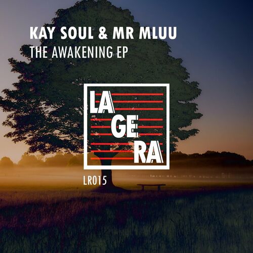  Kay Soul & Mr Mluu - The Awakening (2023) 