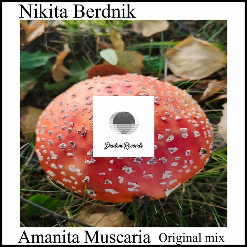  Nikita Berdnik - Amanita Muscaria (2023) 