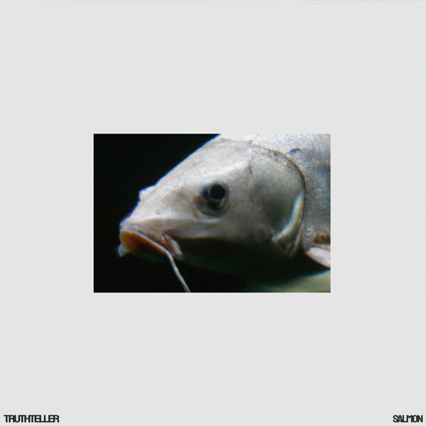 TRUTHTELLER - Salmon [single] (2023)