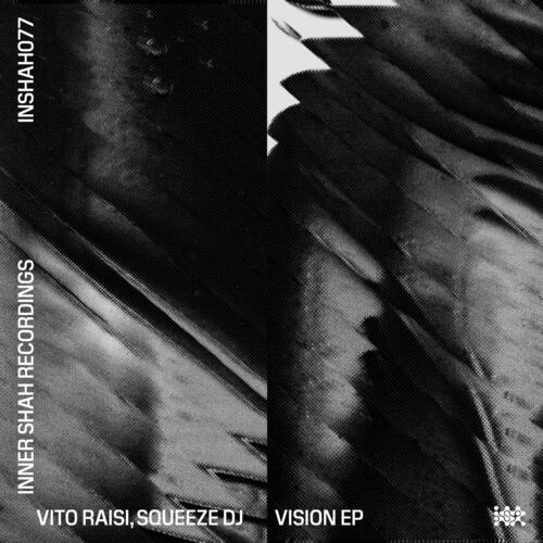  Vito Raisi & Squeeze DJ - Vision (2024) 