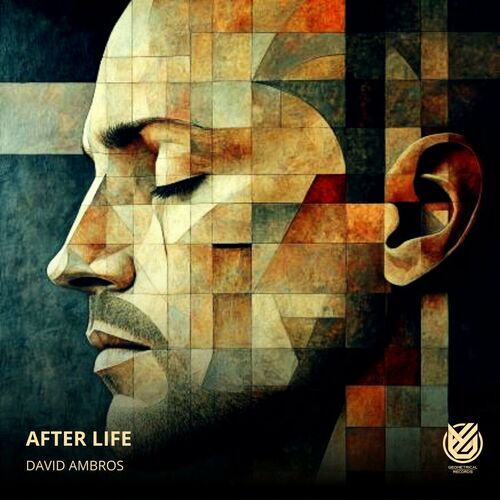 VA - David Ambros - After Life (2024) (MP3) 500x500-000000-80-0-0