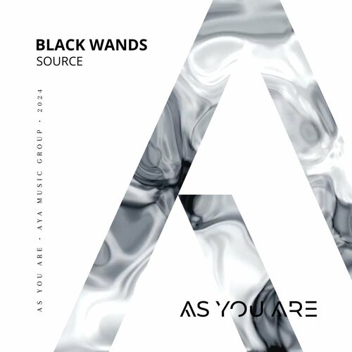 VA - Black Wands - Source (2024) (MP3) 500x500-000000-80-0-0