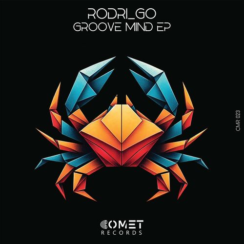  Rodri go - Groove Mind (2024) MP3 500x500-000000-80-0-0