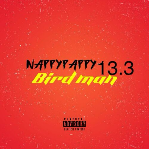  Nappy Pappy13.3 - Bird Man (2023) 